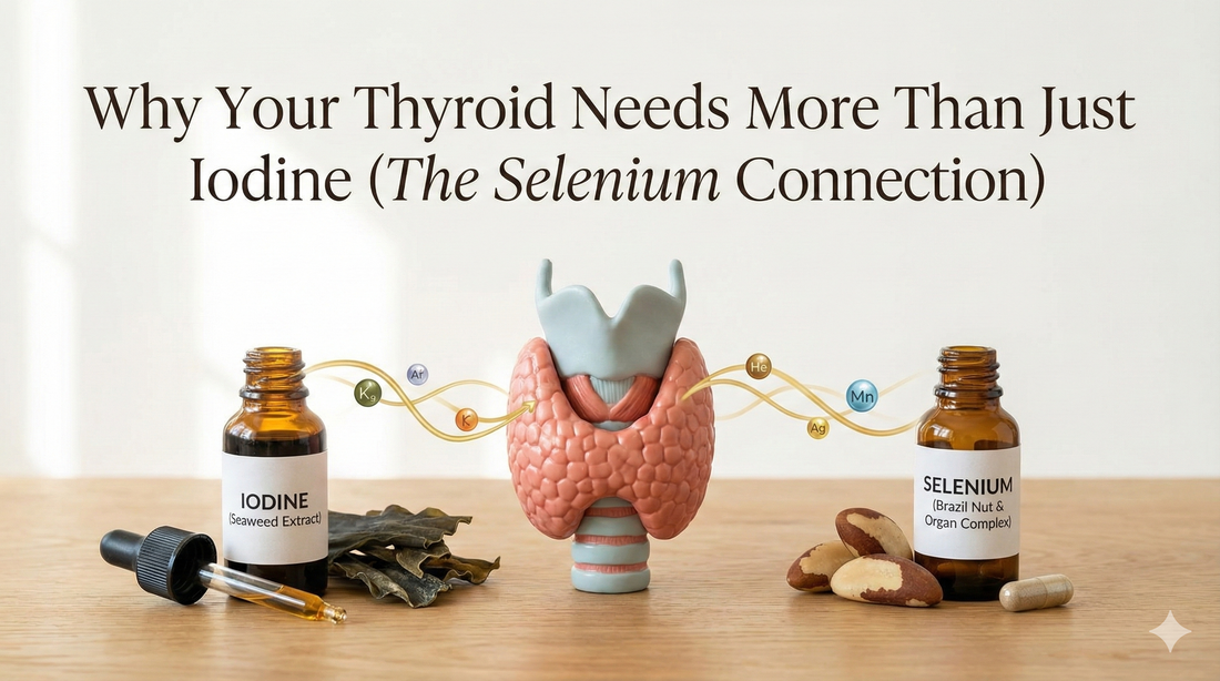 Thyroid & Selenium