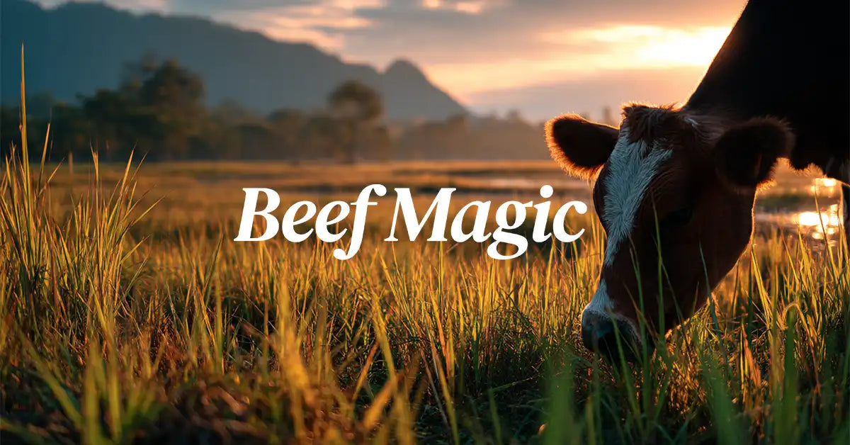 Beef Organ Supplement For Women | Beef Magic